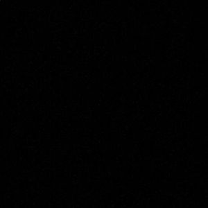 Meet your Posher, Rosalia